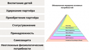 Количество иерархий уровней способностей руководства