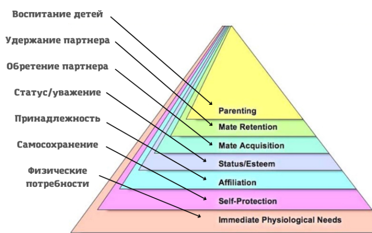 Пирамида маслоу потребности человека картинки в оригинале