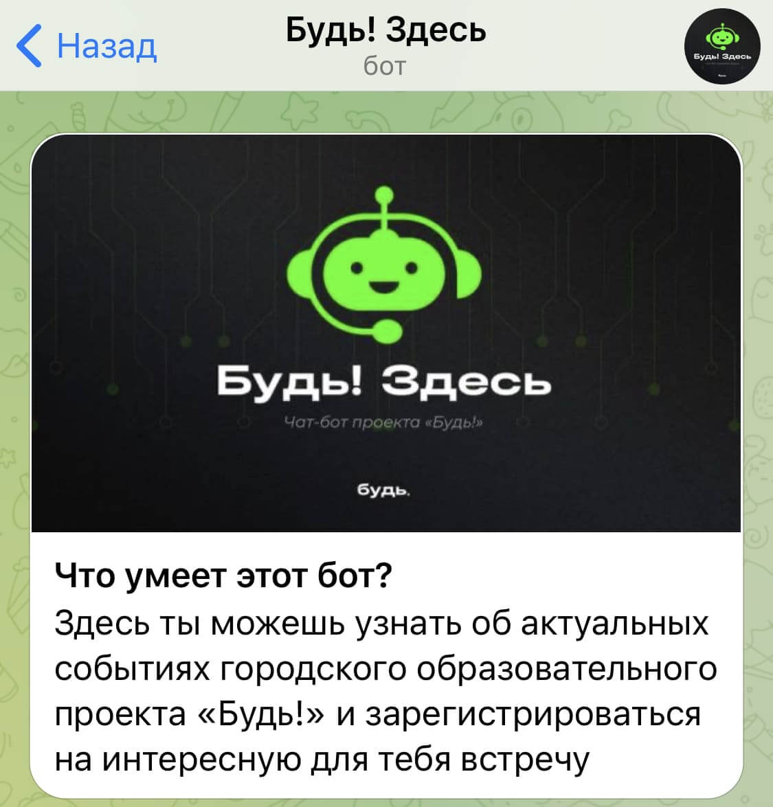 Чат-бот в Telegram.