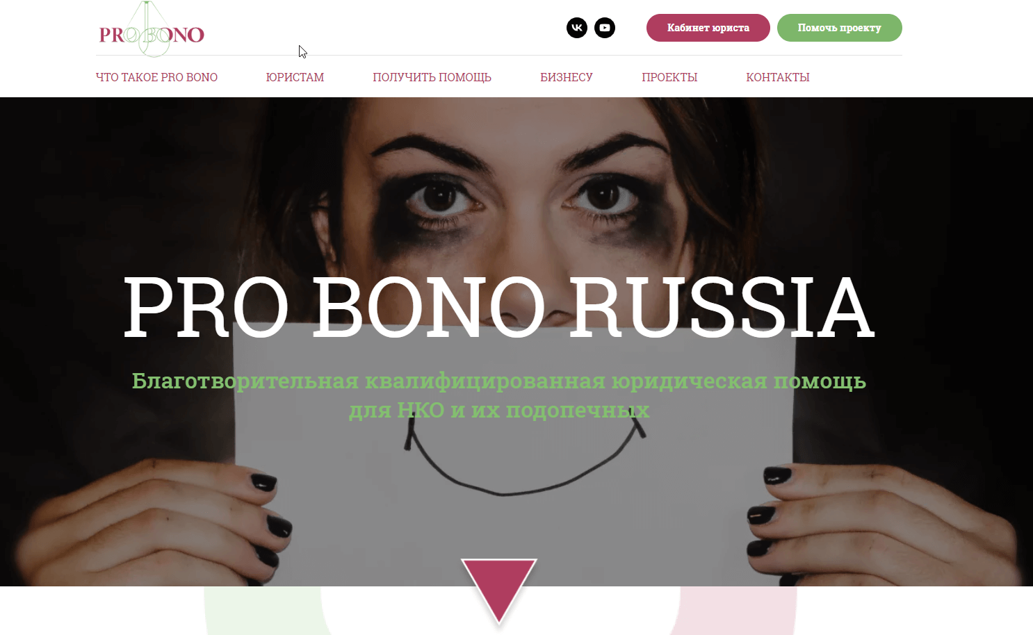 pro bono организация