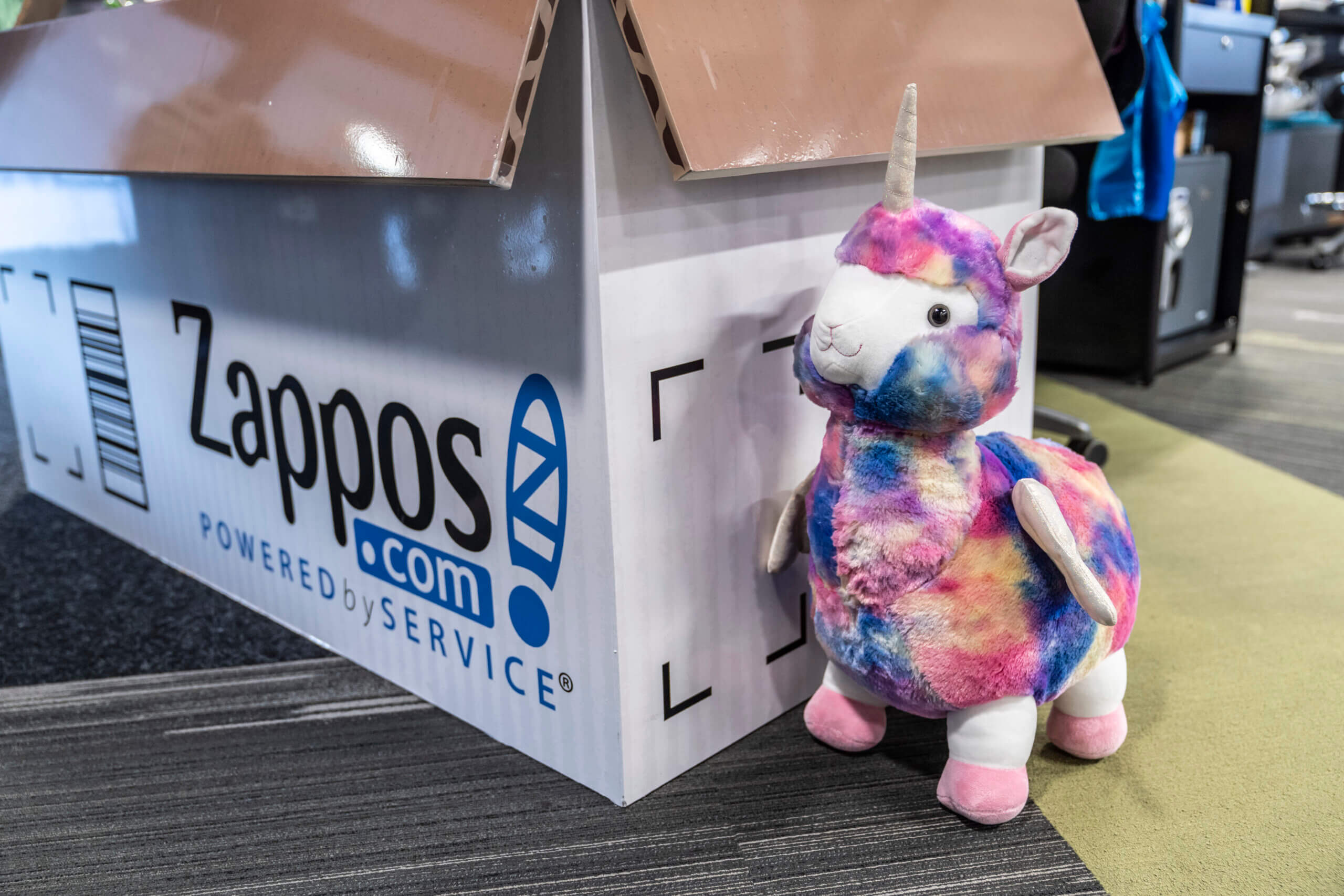 Коробка Zappos