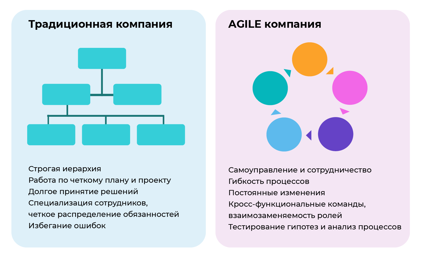 Сравнение традиционной и Agile компании